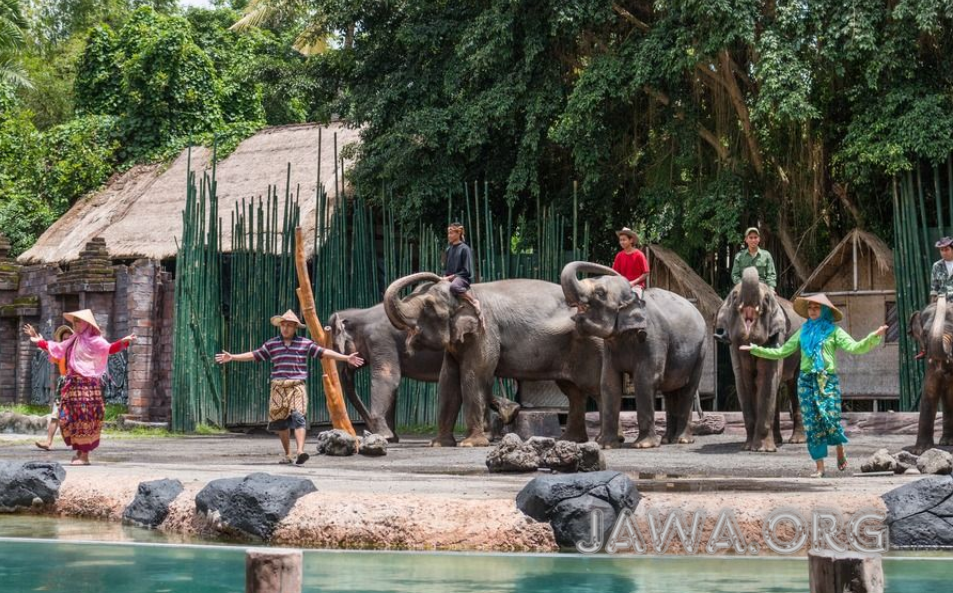 Wisata Terbaik Di Bali Untuk Liburan Keluarga