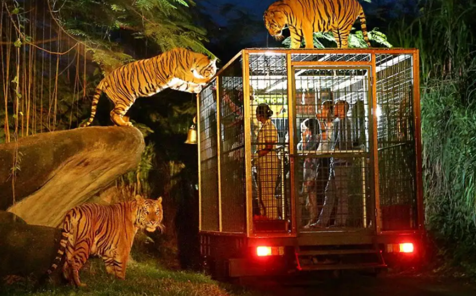 Taman Safari Bali