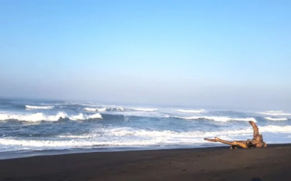 Pantai Samas: Mutiara Tersembunyi di Bantul